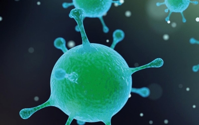 Intolérances alimentaires